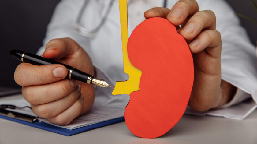 Kidney function tests