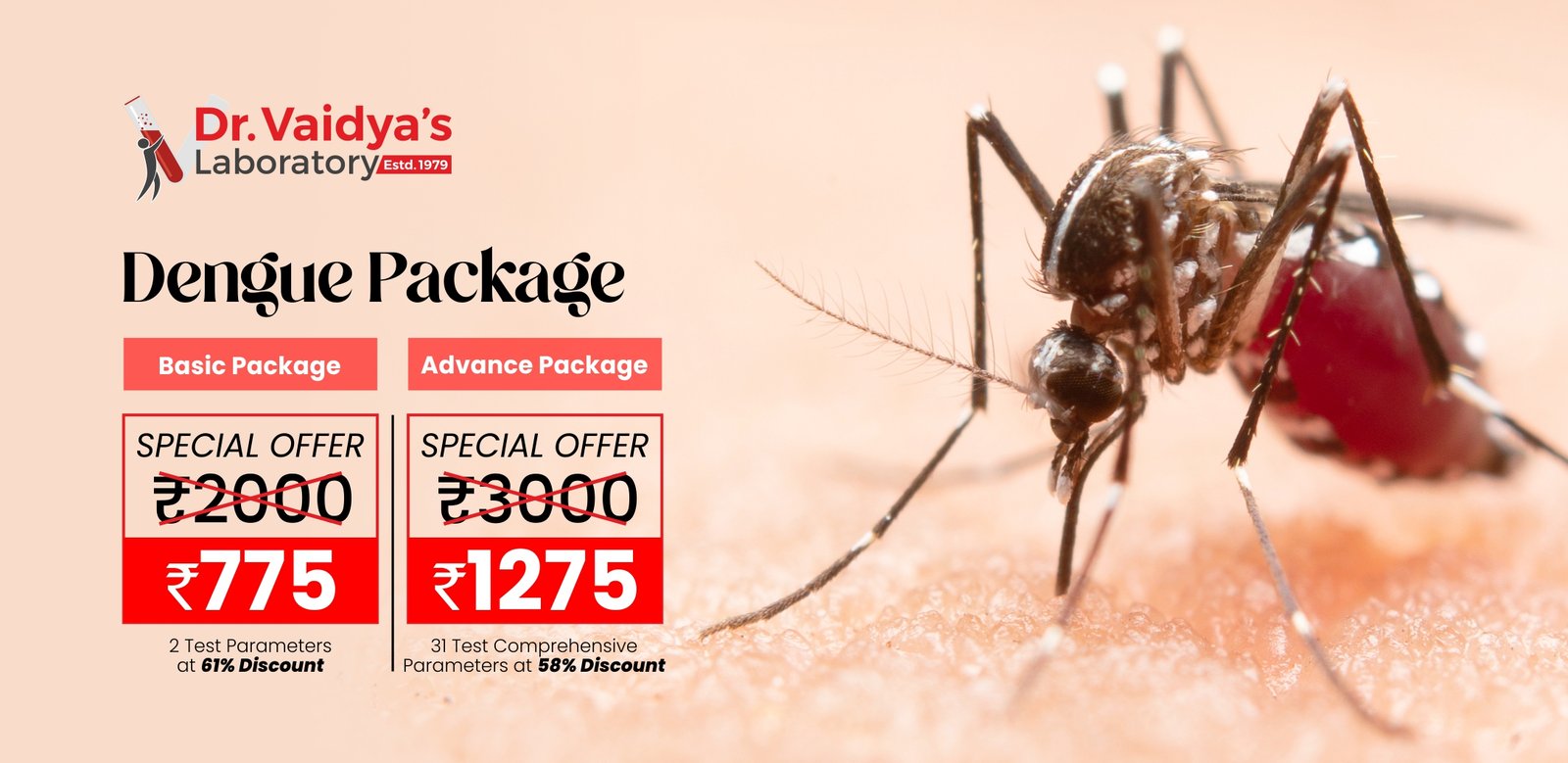 DVL_DENGUE PACKAGE_Web Banner_002_DP