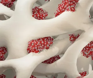 Bone Marrow and Other Specialised Samples